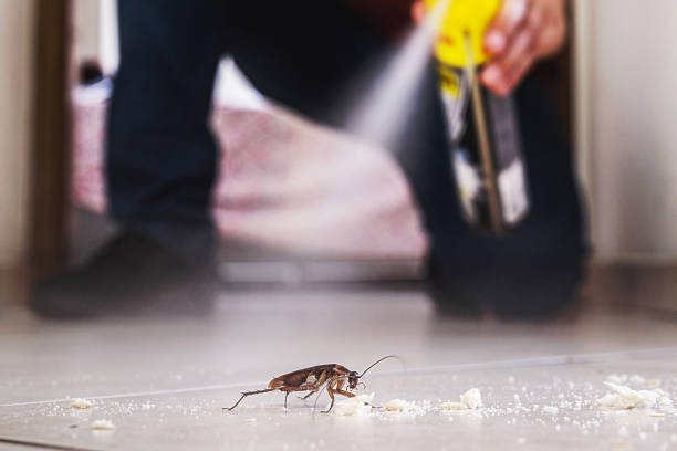 Best Commercial Pest Control Services  in Delmar, MD